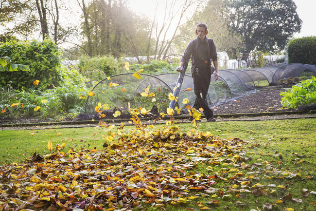 Садівник з використанням листового повітродувки — стокове фото