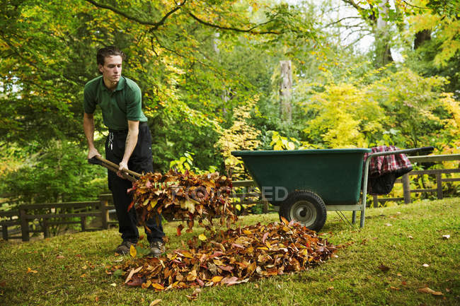 Jardinero usando soplador de hojas - foto de stock