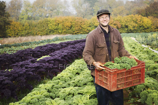 Man carrying fresh picked vegetables — Stock Photo