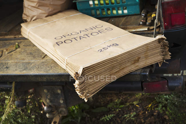 Купа друкованих паперових мішків для овочів — стокове фото