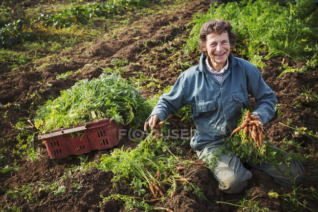 Donna che tiene un mucchio di carote. — Foto stock