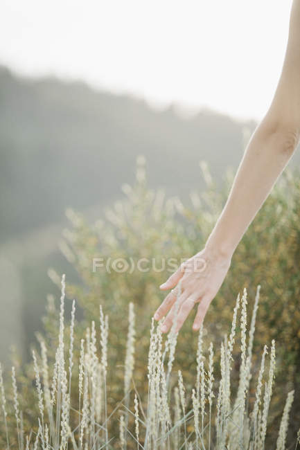 Donna che cammina attraverso l'erba lunga — Foto stock