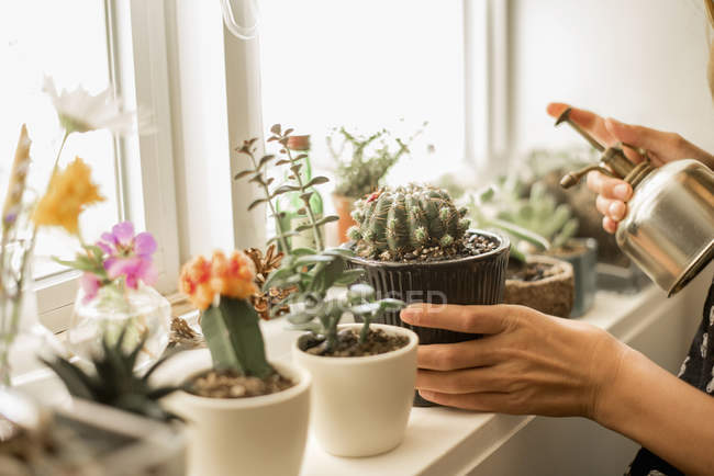 Woman sprinkles plants — Stock Photo