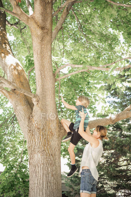 Niños trepando árbol . - foto de stock