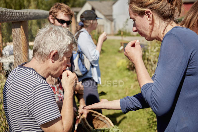 People tasting seeds and plants — Stock Photo