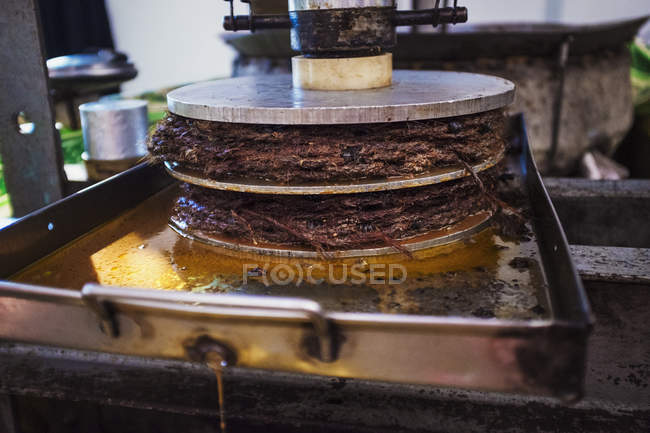 Olivenpresse, ein mechanischer Brecher mit Presse — Stockfoto