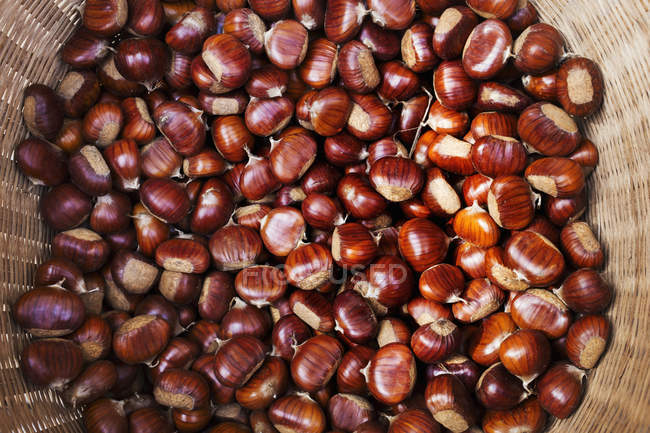Sweet edible chestnuts. — Stock Photo