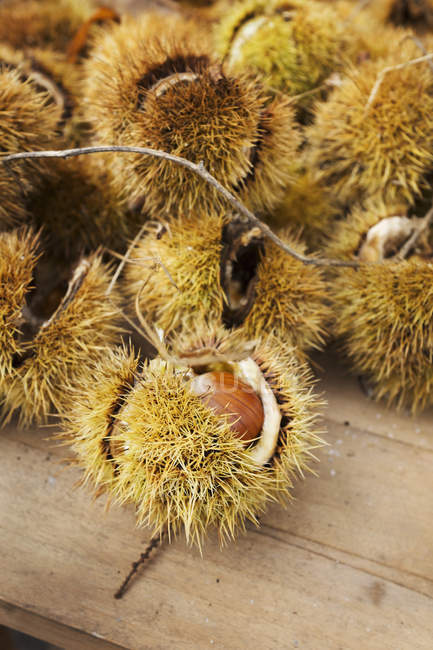 Heap of fresh sweet chestnuts — Stock Photo