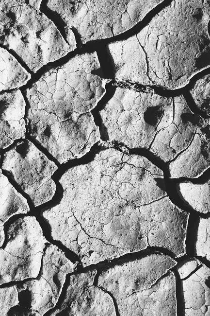 Close up of cracked earth — Stock Photo