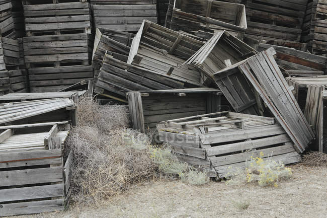 Pile of old wooden fruit crates — Stock Photo