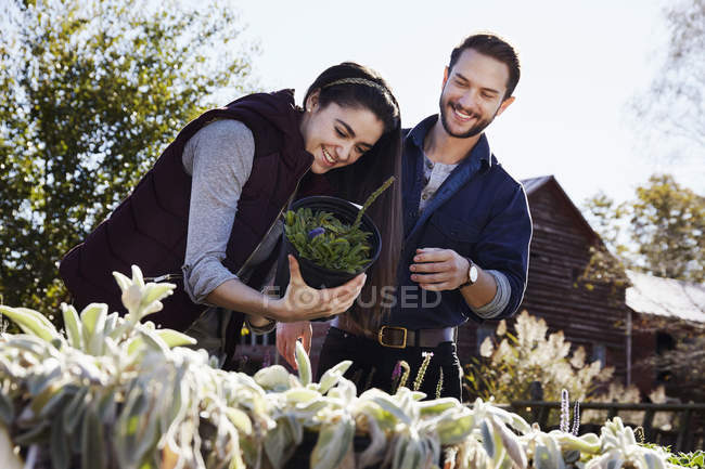 Молодой человек и женщина выбирают растения — стоковое фото