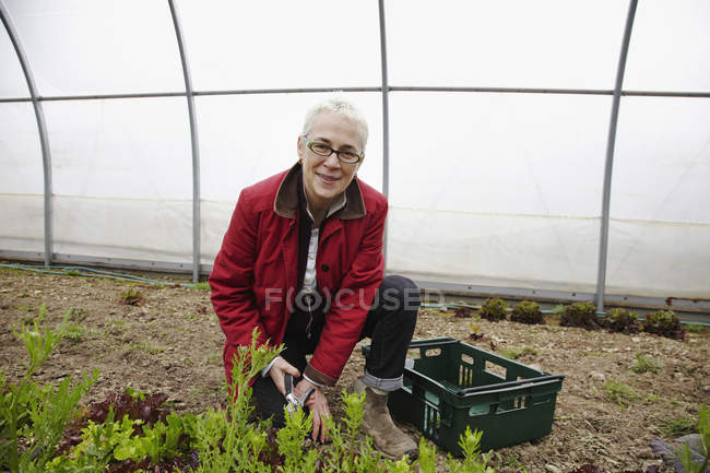 Donna che lavora con le piante — Foto stock