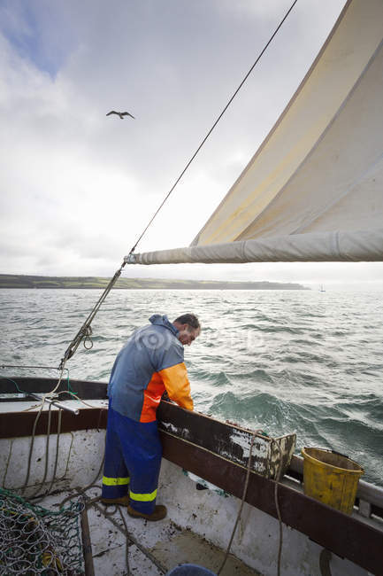 Pescador que classifica as capturas de ostra — Fotografia de Stock