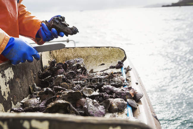 Рыбак работает на палубе — стоковое фото