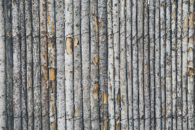 Zaun aus Baumstämmen — Stockfoto