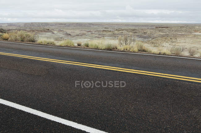 Дорога через окрашенную пустыню — стоковое фото