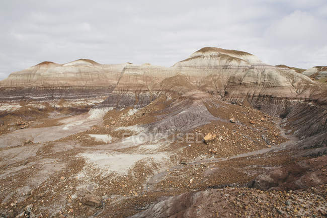 Formações rochosas pintadas no deserto — Fotografia de Stock