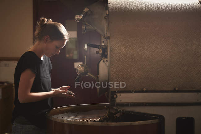 Frau testet geröstete Kaffeebohnen. — Stockfoto