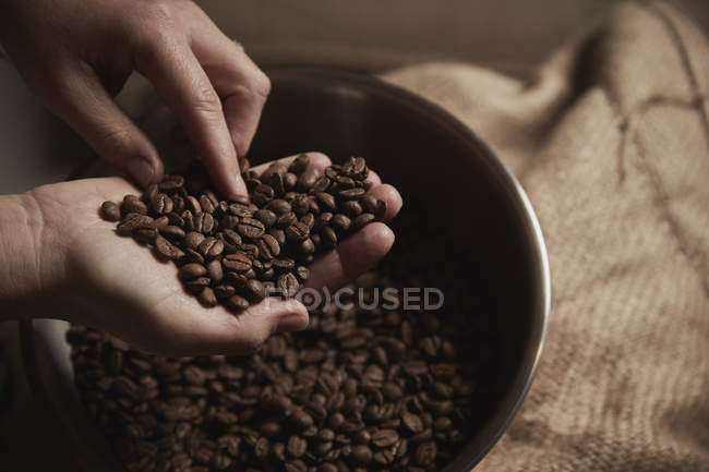 Людина тримає жменьку кавових зерен — стокове фото