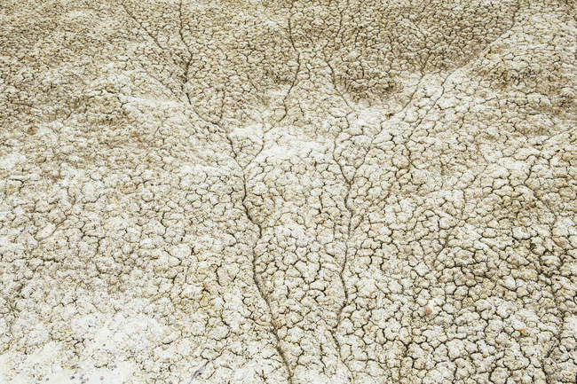 Cracked parched soil surface — Stock Photo