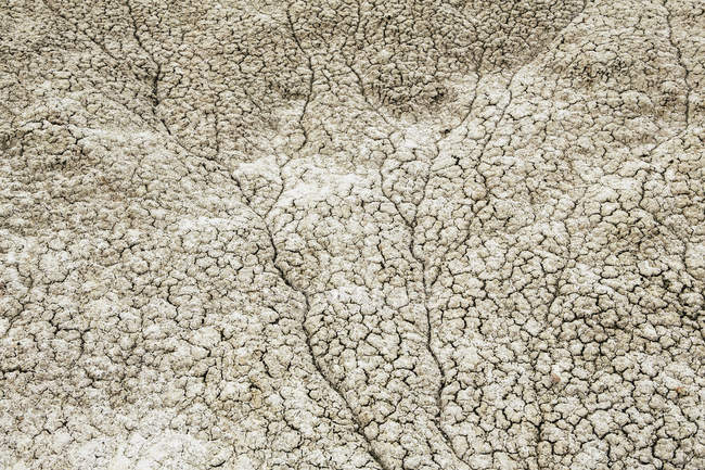Surface du sol desséché fissuré — Photo de stock