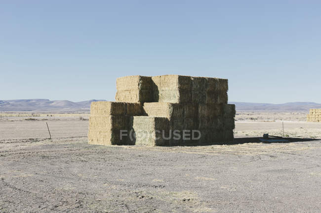 Stacked hay bales — Stock Photo