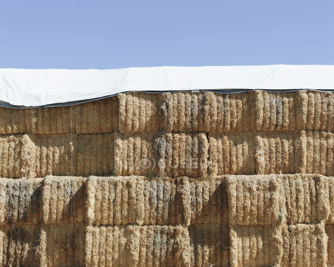Tarpaulin covering stacked hay bales — Stock Photo