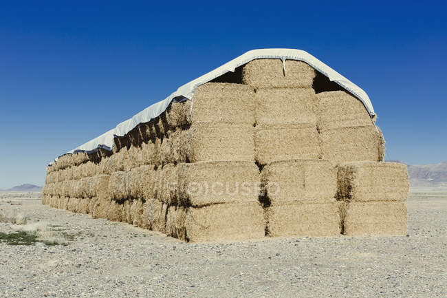 Брезентовое покрытие тюков сена — стоковое фото