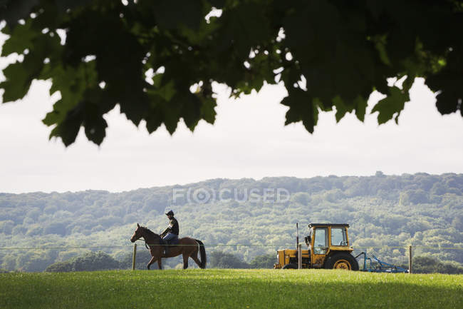 Cavaleiro no cavalo e trator no campo — Fotografia de Stock