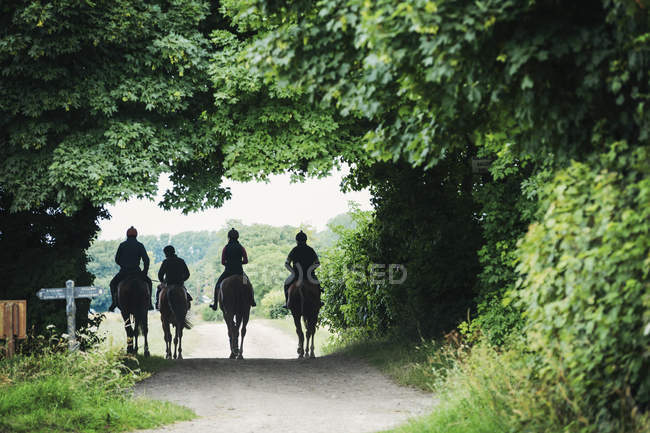 Cavaleiros em cavalos andando ao longo do caminho — Fotografia de Stock