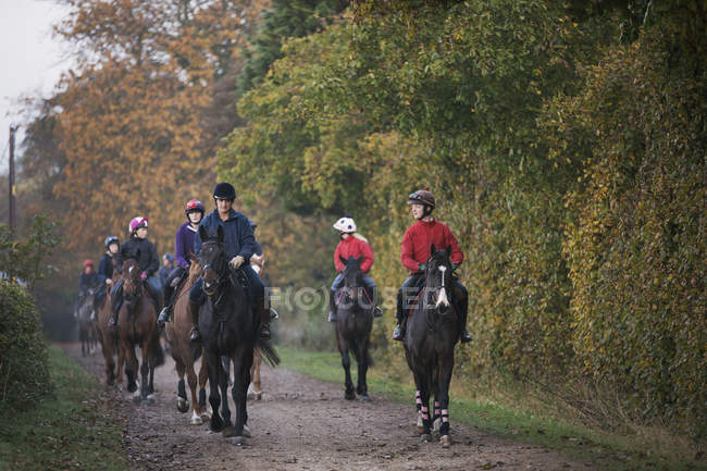 Cavaleiros em cavalos puro-sangue andando ao longo do caminho — Fotografia de Stock