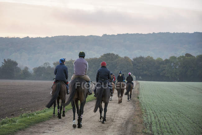 Riders on thoroughbred horses riding along path — Stock Photo