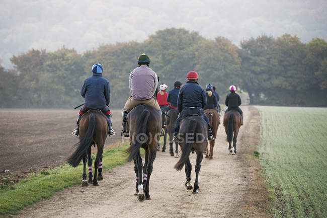 Cavalieri su cavalli purosangue a cavallo lungo il sentiero — Foto stock