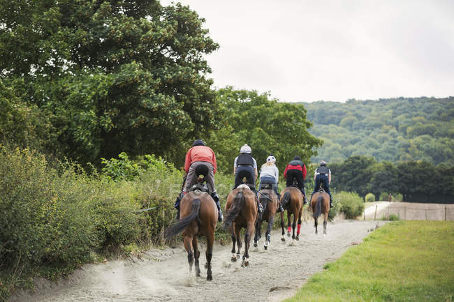 Вершники на конях, що їздять по шляху — стокове фото