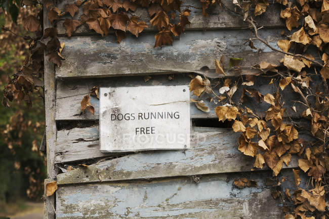 Sign reading Dogs Running Free — Stock Photo