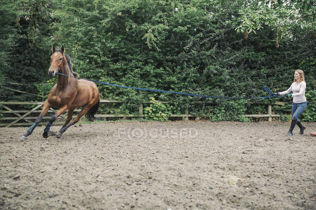Donna che esercita cavallo nel paddock — Foto stock