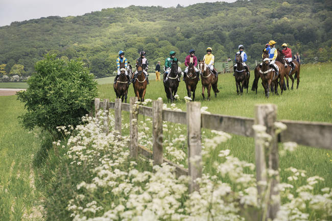 Grupo de cavaleiros em cavalos de corrida — Fotografia de Stock