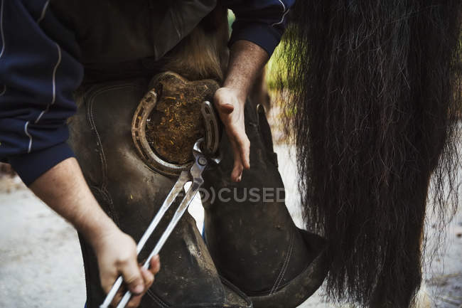 Ferradura de montagem mais farrier para casco de cavalo — Fotografia de Stock