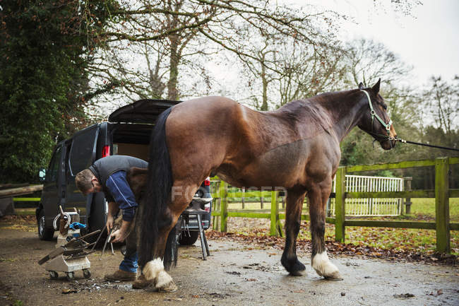 Farrier fitting horseshoe to horse hoof — Stock Photo