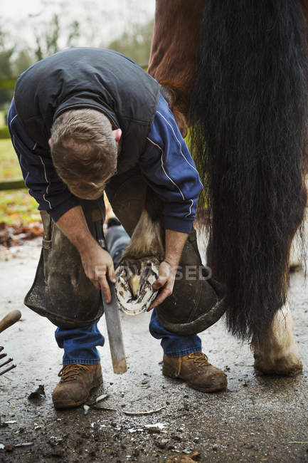 Farrier filing hoof of horse — Stock Photo