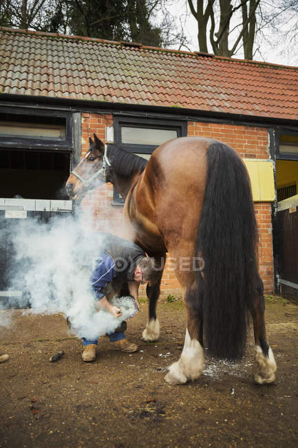 Фермер пристосовує підкови до копита коней — стокове фото