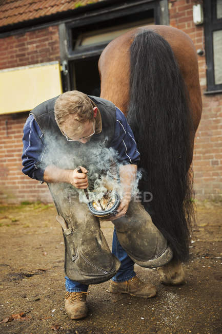 Farrier fitting horseshoe to horse hoof — Stock Photo