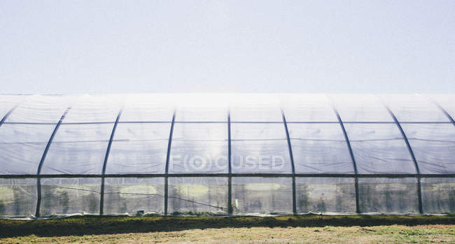 Polytunnel for growing crops — Stock Photo