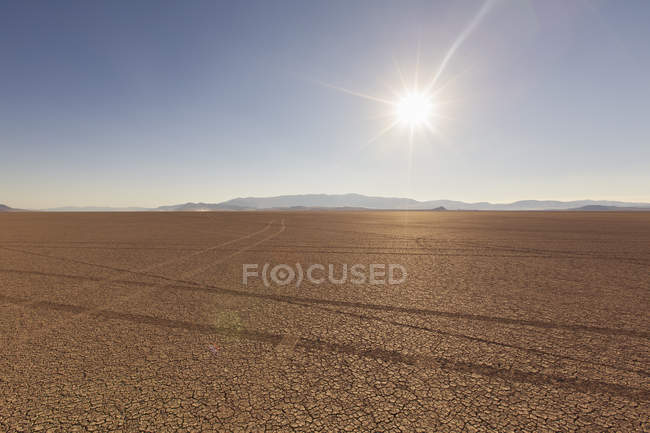 Huellas de neumáticos en el paisaje del desierto - foto de stock