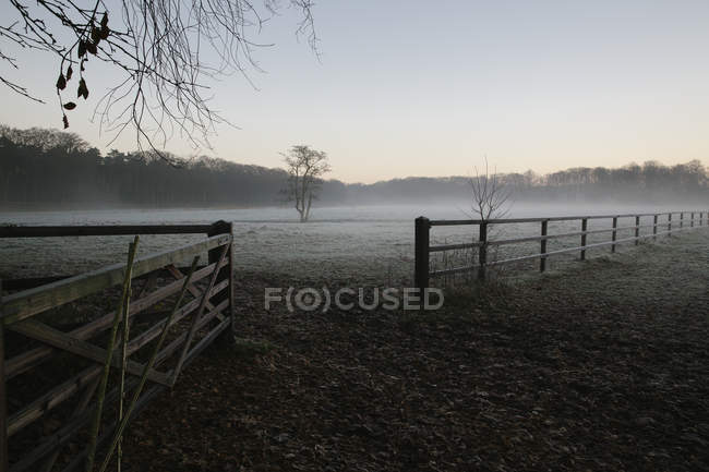 Nebel liegt auf eingezäuntem Feld — Stockfoto