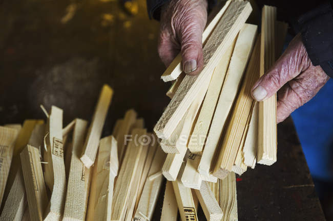 Man holding bundle of wooden pegs. — Stock Photo