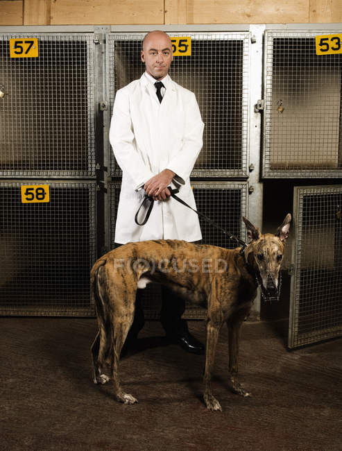 Manipulador de perros de pie frente a jaulas - foto de stock