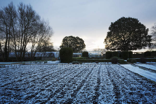 Garten im Winter, Oxfordshire. — Stockfoto