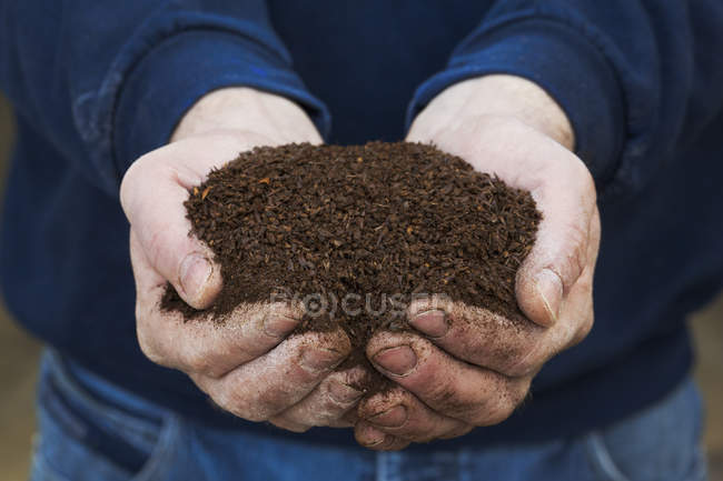 Human hands holding dark brown malt — Stock Photo