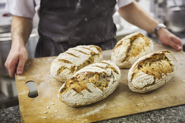 Пекарь держит поднос с хлебом . — стоковое фото
